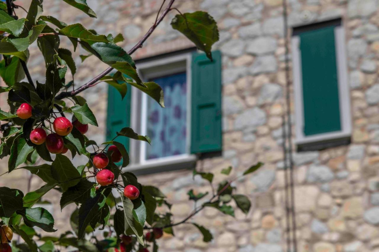 Podere P Ratizzoli II Piano Tole Екстериор снимка
